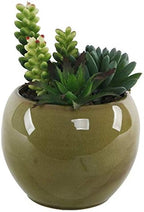 Flora Bunda Mid Century Artificial Plants Cactus 4.5" Succulents Mix in Ceramic Pot,Olive Green - Image 2