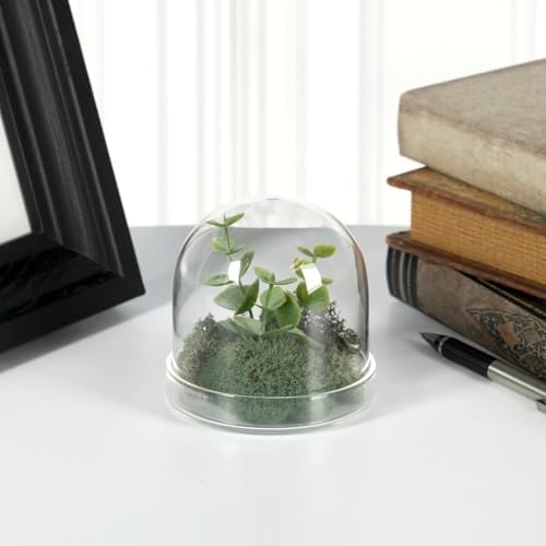 Plymor 3" x 3" Glass Display Dome Cloche (Clear Glass Tray Base), Pack of 12 - Image 2