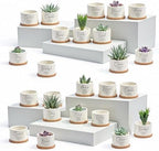 Fumete 24 Set Religious Gift Bulk Bible Verse Succulent Pots, Affirmation by Fumete
