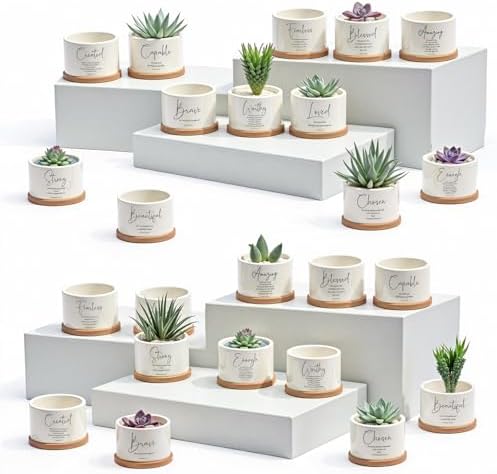 Fumete 24 Set Religious Gift Bulk Bible Verse Succulent Pots, Affirmation by Fumete