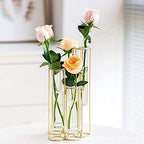 nother Bigsee Test Tube Vase for Flowers, Glass Vase with Metal Stand Racks Hydroponic Test TubeVase Set of 5, Gold Hinged Plant Vases Display Set Table Centerpieces Vase for Home Decor (Gold) - Image 5