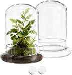 2 Pcs 5.9 x 8.46 Inch Glass Terrarium with Airhole and Base Clear Glass Dome Planter Display Container Plants Not Included for Office Desk, Balcony, Coffee Table by PEDOBALI