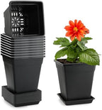 6 inch Plant Pots, 10 Pack Flower Pots Outdoor Indoor, Square Plastic Planter with Drainage Holes and Saucers, 0.5 Gallon Planter Pots for Plants Deep Capacity Garden Pot Container with Tray by BTPLASTIK