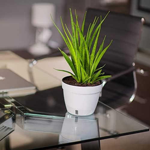 DECOPOTS - 3 Pack - Self Watering Planter - Modern Flower Pot with Water Level Indicator - 6.3" Tall - for All House Plants, Flowers, Herbs (Diameter 7.9", Graphite - White) - Image 5