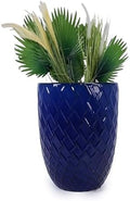 Artisan Crafted Ceramic Plant Pot Patio Garden Planter Drainage Hole Thick Clay Vessel Breathable Heavy Holder Sculptural Container Herbs Succulents Citrus Tree Balcony Decorative Accent (Dark Blue) by WEALTHGIRL