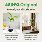 Glass Avocado Seed Vase for Growing – Hand-Blown Avocado Vase, Indoor Plant Vase and Avocado Planter Pot for Plant Growing (Dark Blue) - Image 5