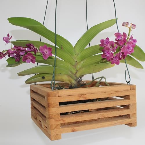 Set of 2 Wooden Orchid Baskets with Hangers, Hanging Vanda Baskets for Outside - Image 6