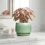 Ceramic Pots for Plants - 7 Inch Planters for Indoor Plants, Round Ceramic Plant Pot with Drainage Hole and Saucer, Decorative Planters, Rustic Home Decor, Plant Gifts for Women, Green - Image 6