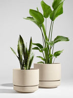 LE TAUCI 12 Inch Pots for Plants with Saucer, Ceramic Indoor Planter Pot for Plants with Drainage Hole, Mesh Pad Included, Unglazed Porous Ceramic, Modern for Home and Office, Speckled Oat - Image 2