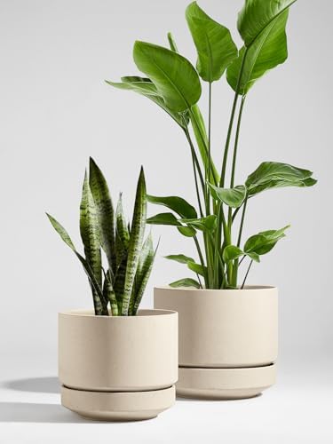 LE TAUCI 12 Inch Pots for Plants with Saucer, Ceramic Indoor Planter Pot for Plants with Drainage Hole, Mesh Pad Included, Unglazed Porous Ceramic, Modern for Home and Office, Speckled Oat - Image 2