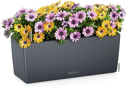 Lechuza BALCONERA Color 50 Slate, Self-Watering Window Box (Railing Planter), H7.5 L19.7 W7.5 in - Image 2