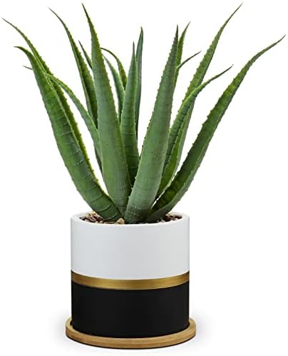 Briful Succulents Artificial Plants Fake Aloe Vera Plants in Gold and Black Pot Farmhouse Faux Agave Plant for Home Office Desk Bathroom Shelf Decorations by Briful