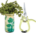 Modern Sprout Hydroponic Grow + Harvest Bundle by ModernSprout