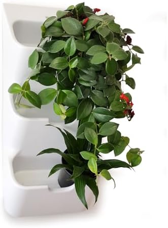 BOXSAND-6 (12"x26") Living Wall - Wall Planter, Vertical Garden for 6 Plants, Indoor/Outdoor, 2 Screws Install (White) by BOXSAND