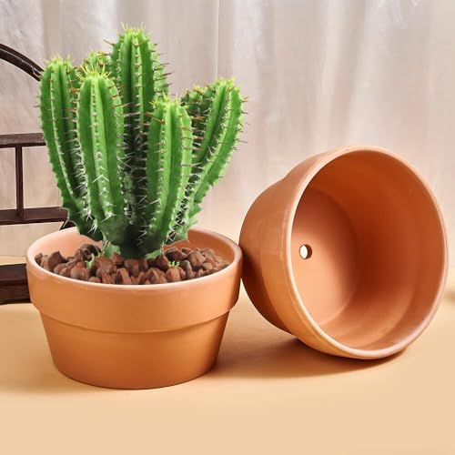 8 Inch Shallow Terracotta Pot for Succulent - 2 Pcs Large Clay Planter Pots with Drainage Hole, Shallow Plant Pottery Pots for Cactus Succulent and Other Indoor Outdoor Plants - Image 6