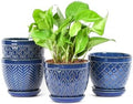 Sureasy Ceramic Indoor Plant Pots - 5.6 Inch Flower Pots for Plants with Drainage Hole and Saucer, Embossed Planter for Succulents, Orchid, Cactus, Indoor Home Decor, Set of 4, Blue by Sureasy
