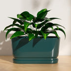 13" Rectangular Ceramic Planter with Drainage and Saucer, Green - Image 4
