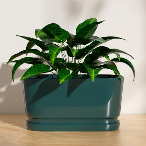 13" Rectangular Ceramic Planter with Drainage and Saucer, Green - Image 4