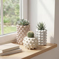 Eyely Delara Modern Minimalist Handmade Concrete Bubble Cylinder and Round Planter Set, Matte Soft Neutral (Set of 3) (NLP1002A-3SET) by eyely