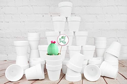 40 Pcs White Terracotta Pot - 2.5 Inch Mini Clay Pots with Drainage Holes Flower Nursery Terra Cotta Pots for Succulent Plants, Crafts, Wedding Baby Shower Favor by My+Urban+Crafts