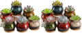TOPZEA Set of 6 Succulent Plant Pots, 4 Inch Glazed Ceramic Cute Plant Pots with Drainage and Saucer, Mini Bonsai Planter Small Cactus Flower Pots for Indoor Outdoor Use (Pack of 2) by TOPZEA