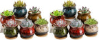 TOPZEA Set of 6 Succulent Plant Pots, 4 Inch Glazed Ceramic Cute Plant Pots with Drainage and Saucer, Mini Bonsai Planter Small Cactus Flower Pots for Indoor Outdoor Use (Pack of 2) by TOPZEA