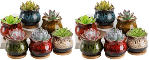 TOPZEA Set of 6 Succulent Plant Pots, 4 Inch Glazed Ceramic Cute Plant Pots with Drainage and Saucer, Mini Bonsai Planter Small Cactus Flower Pots for Indoor Outdoor Use (Pack of 2) by TOPZEA