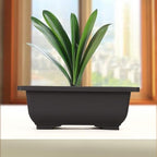 MANCHAP 20 PCS 8.9 Inch Plastic Bonsai Training Pots, Rectangular Bonsai Tree Planter Pot for Garden, Yard, Office, Home Decorative - Image 7