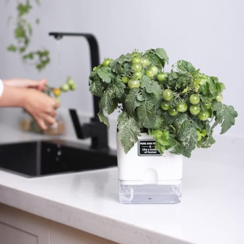 FAMZ Self Watering Pots for Indoor Plants 4 Pack White Self Watering Planters with Water Reservoir and Cotton Wick System, Bottom Watering Plant Pots for African Violet Herbs Small Indoor Plants - Image 3