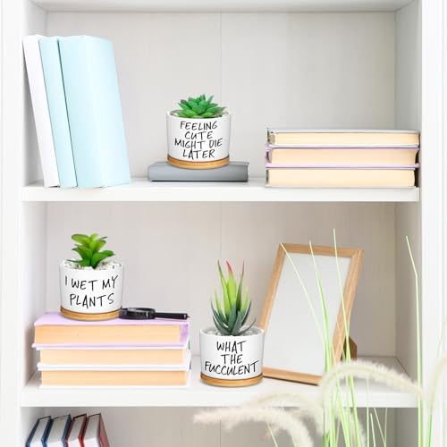 Domensi 9 Pcs Funny Succulent Pots Ceramic Planters Bamboo Tray,Funny - Image 5