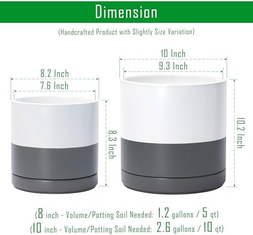 D'vine Dev 2-Pack Ceramic Pots with Saucers, 8/10 in, White/Grey, 94-G-L-6 - Image 3