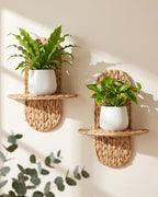 Couesy Set of 2 Wicker Wall Plant Holder, Rattan Wall Shlef Boho Room Decor by WEAVECOMFORTINTOEVERYCORNER