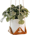 Leather Plant Sling by Keyaiira