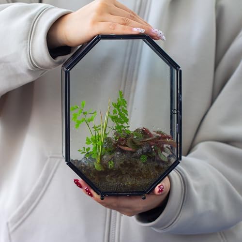 NCYP Glass Enclosure Terrarium with Mesh and Door for Spiders, Small Mantis, Jumping Spider - Octagon Shape Vented Glass Terrarium 6.2 x 3.1 x 8.7 inches, Black (Plants Not Include) - Image 5