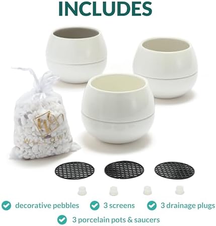 Willowy 3.5 Inch Small Succulent Pots - 3pk, Mini/Small White Ceramic Succulent Pots - No Plants Included - Image 3