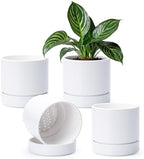Phoenix Vine 6 Inch Planter Pot with Drainage Hole & Saucer, Deep Water Catch Tray, Straight Cylindrical Round Pot for Plants, Matte White, Pack of 4, 23-B-S-4 by Phoenix+Vine