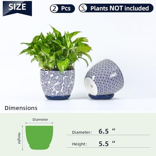 Selamica Ceramica Plant Pots, 6.5 Inch Flower Pots Set of 2 with Drainage Holes & Saucer, Planters for Indoor Plants, Home Decor, Vintage Blue - Image 3