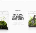 Bioloark Glass Plant Terrarium MY-120H, 4.7" x 7" Small Desktop Moss Terrarium with Dew-Collecting Lid, Ventilation Holes, High-Clarity Glass Jar for Ferns, Small Plants & Office Décor - Image 2