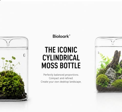 Bioloark Glass Plant Terrarium MY-120H, 4.7" x 7" Small Desktop Moss Terrarium with Dew-Collecting Lid, Ventilation Holes, High-Clarity Glass Jar for Ferns, Small Plants & Office Décor - Image 2