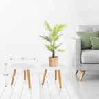 Uneedem Plant Stand Indoor, Mid Century Modern Small Round Plant Table for Flower Pots, 8.9" Tall Plant Holder Wood Stool for Living Room (2 Pack) - Image 3