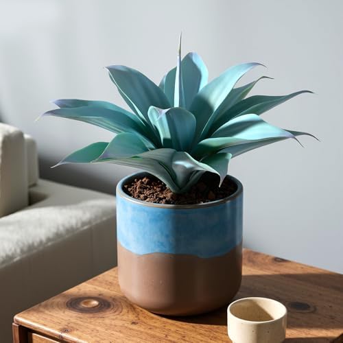 Ttranewsoo 2-Pack 13.8-Inch Artificial Agave Plants for Outdoor Planters, UV Resistant Fake Agave Plants, Faux Succulent Greenery for Porch, Patio, Garden, Entryway and Indoor Decor, Blue - Image 3