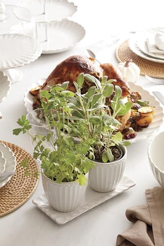 Lenox 896914 French Perle Scallop 3-Piece Herb Pots & Tray Set - Image 6
