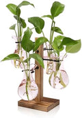 Plants Propagation Stations Bulb Glass Propagation Birthday Gift for Women by YYHglass