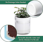 Phoenix Vine 4 Inch Self Watering Planter, White Terracotta Clay Pot with Glass Reservoir for Indoor Plants, Herbs, Flowers, Set of 4, 52-B-E-4 - Image 4