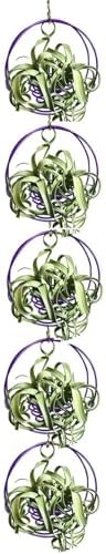 Air Plant Hanging Holder Planter - Plant Hanger Display Frame DIY Kit Aluminum Wire Indoors Outdoors Plants Not Included for Wall Ceiling Decoration, 5 Pack(Purple) by Unknown