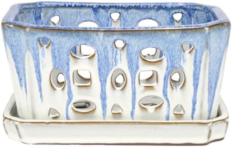 W&W Orchid Pot with Holes and Saucer for Repotting, Blue and White, 9.7 Inch - Image 2