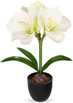 Briful White Amaryllis Fake Flowers 17.3'' Tall Silk Amaryllis Plant in Black Pot Artificial Floral Arrangement with Decorative Bulb for Home Office Bathroom Kitchen Table Holiday Décor by Briful