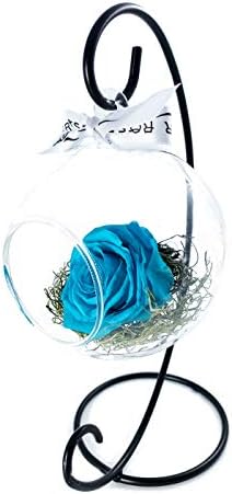 Real Natural Rose in A Glass Globe Terrrarium (Light Blue) by Unknown
