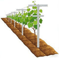MRGARDEN 5-Feet Grape Vine Trellis 2packs for Raspberry, Grape Vines, Outdoor Climbing Plants, Heavy Duty Fiberglass Stake Vineyard Trellis, Rust-Proof, Easy to Install Garden Trellis by Mr+Garden