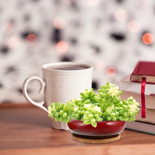Happyyami Xmas Ceramic Bonsai Pot Set 2pcs Round Shallow Planters with Tray - Image 7